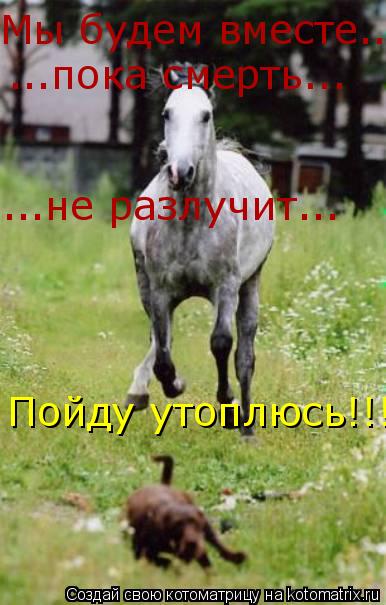 Мы будем вместе... ...пока смерть... ...не разлучит... Пойду утоплюсь!!!... Котоматрица: Мы будем вместе... ...пока смерть... ...не разлучит... Пойду утоплюсь!!!