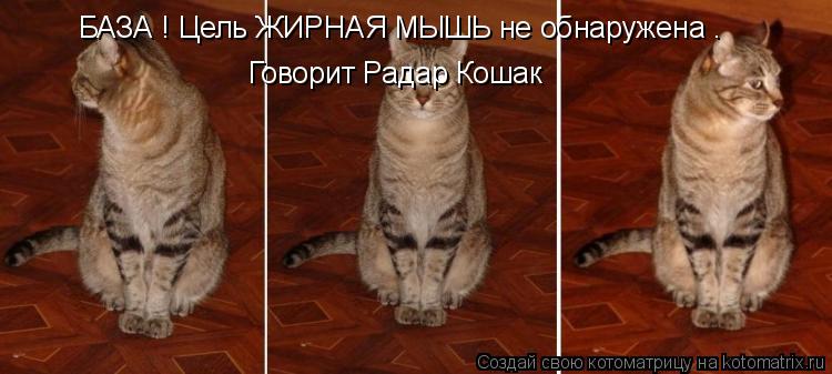 БАЗА ! Цель ЖИРНАЯ МЫШЬ не обнаружена . Говорит Радар Кошак... Котоматрица: БАЗА ! Цель ЖИРНАЯ МЫШЬ не обнаружена . Говорит Радар Кошак