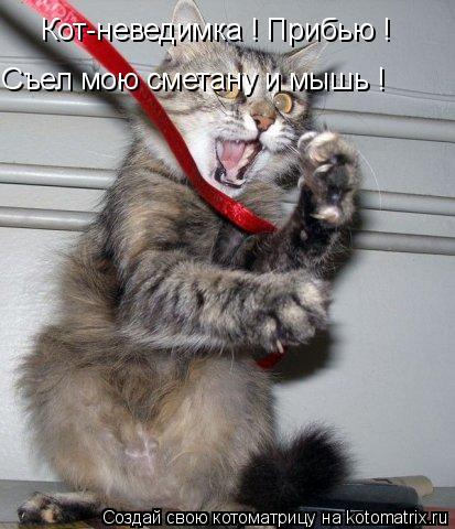 Кот-неведимка ! Прибью ! Съел мою сметану и мышь !... Котоматрица: Кот-неведимка ! Прибью ! Съел мою сметану и мышь !