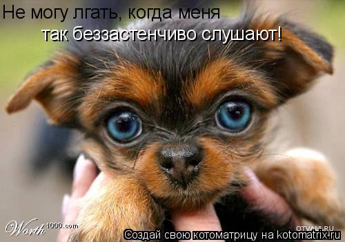 Не могу лгать, когда меня так беззастенчиво слушают!... Котоматрица: Не могу лгать, когда меня так беззастенчиво слушают!