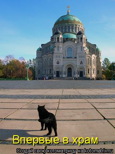 Впервые в храм... Котоматрица: Впервые в храм