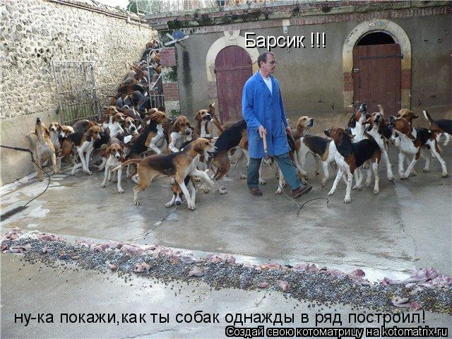 Барсик !!! ну-ка покажи,как ты собак однажды в ряд построил!... Котоматрица: Барсик !!! ну-ка покажи,как ты собак однажды в ряд построил!