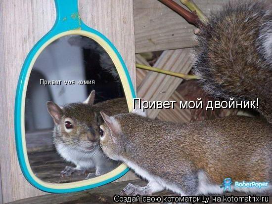 Привет мой двойник! Привет моя комия... Котоматрица: Привет мой двойник! Привет моя комия