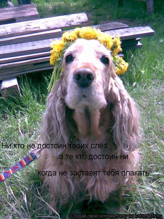 Ни кто не достоин твоих слёз, а те кто достоин ни когда не заставят тебя плакать...... Котоматрица: Ни кто не достоин твоих слёз, а те кто достоин ни когда не заставят тебя плакать...