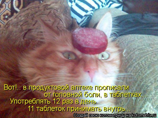 Котоматрица: Вот!.. в продуктовой аптеке прописали от головной боли, в таблетках... Употреблять 12 раз в день 11 таблеток принимать внутрь...
