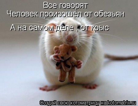 Все говорят Человек произошёл от обезьян А на самом деле , от крыс... Котоматрица: Все говорят Человек произошёл от обезьян А на самом деле , от крыс