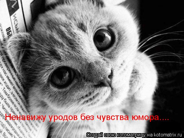 Ненавижу уродов без чувства юмора....... Котоматрица: Ненавижу уродов без чувства юмора....