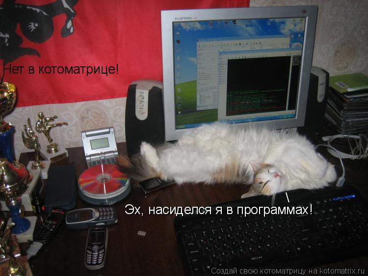 Эх, насиделся я в программах! Нет в котоматрице! /... Котоматрица: Эх, насиделся я в программах! Нет в котоматрице! /