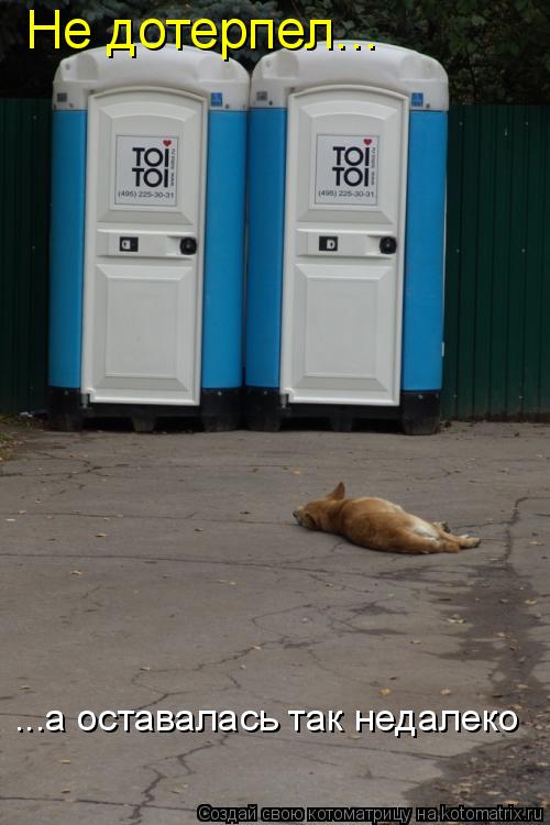 Не дотерпел... ...а оставалась так недалеко... Котоматрица: Не дотерпел... ...а оставалась так недалеко