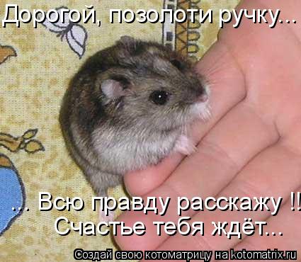Дорогой, позолоти ручку... ... Всю правду расскажу !!! Счастье тебя ждёт...... Котоматрица: Дорогой, позолоти ручку... ... Всю правду расскажу !!! Счастье тебя ждёт...