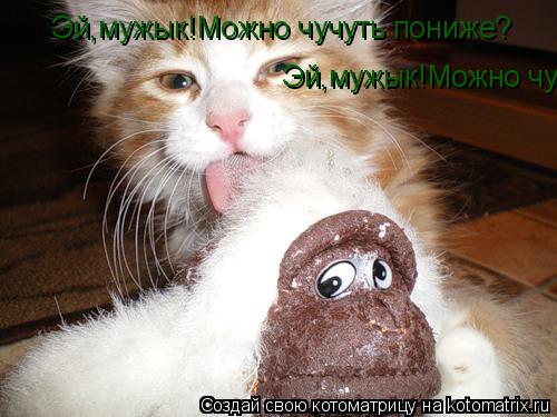 Эй,мужык!Можно чучуть пониже? Эй,мужык!Можно чучуть пониже?... Котоматрица: Эй,мужык!Можно чучуть пониже? Эй,мужык!Можно чучуть пониже?