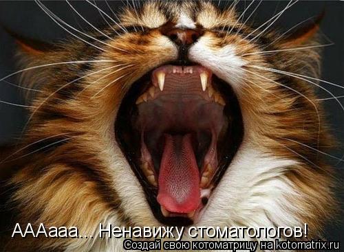 АААааа... Ненавижу стоматологов!... Котоматрица: АААааа... Ненавижу стоматологов!