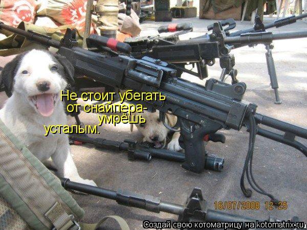Не стоит убегать от снайпера- умрёшь усталым.... Котоматрица: Не стоит убегать от снайпера- умрёшь усталым.