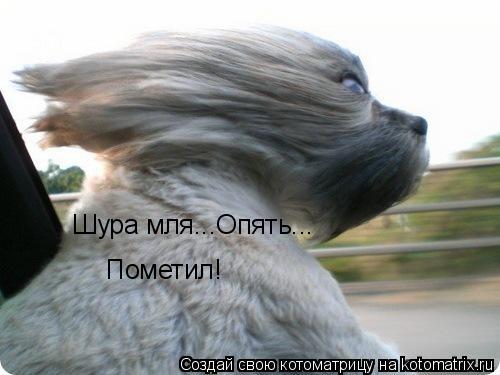 Шура мля...Опять... Пометил!... Котоматрица: Шура мля...Опять... Пометил!