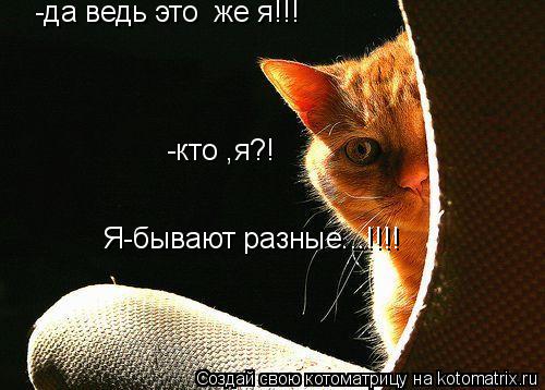 -да ведь это же я!!! -кто ,я?! Я-бывают разные...!!!!... Котоматрица: -да ведь это же я!!! -кто ,я?! Я-бывают разные...!!!!