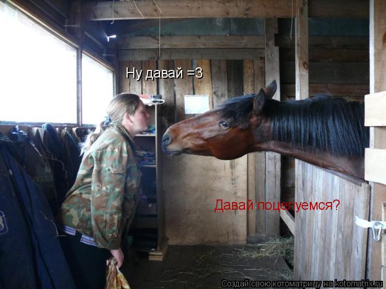 Давай поцелуемся? Ну давай =3... Котоматрица: Давай поцелуемся? Ну давай =3