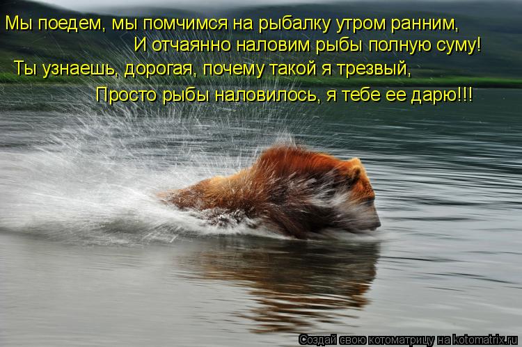 Мы поедем, мы помчимся на рыбалку утром ранним, И отчаянно наловим рыбы полную суму! Ты узнаешь, доро... Котоматрица: Мы поедем, мы помчимся на рыбалку утром ранним, И отчаянно наловим рыбы полную суму! Ты узнаешь, дорогая, почему такой я трезвый, Просто рыбы