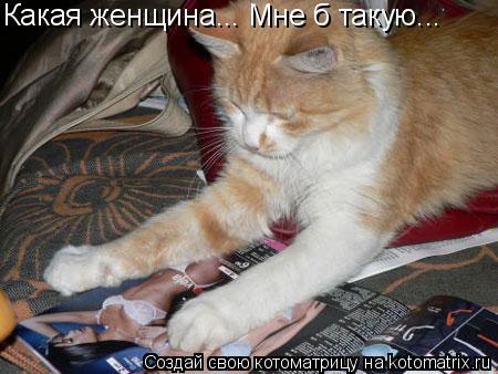 Какая женщина... Мне б такую...... Котоматрица: Какая женщина... Мне б такую...
