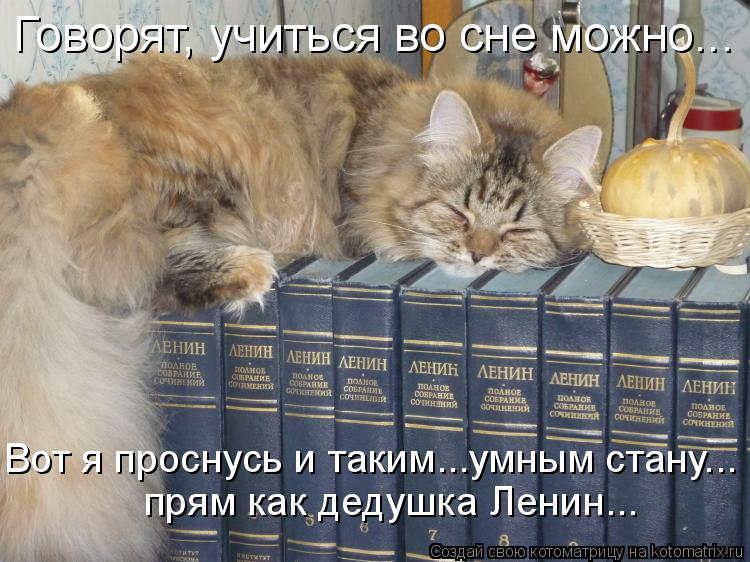 Говорят, учиться во сне можно... Вот я проснусь и таким...умным стану... прям как дедушка Ленин...... Котоматрица: Говорят, учиться во сне можно... Вот я проснусь и таким...умным стану... прям как дедушка Ленин...