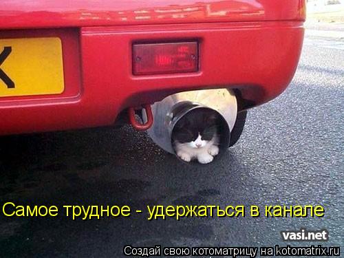 Самое трудное - удержаться в канале... Котоматрица: Самое трудное - удержаться в канале