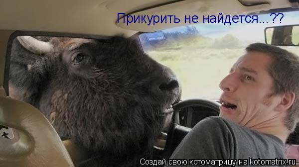 Прикурить не найдется...??... Котоматрица: Прикурить не найдется...??