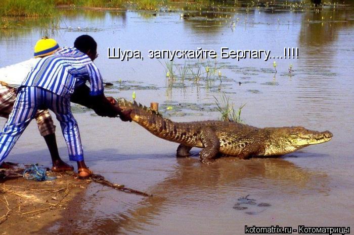 Шура, запускайте Берлагу....!!!!... Котоматрица: Шура, запускайте Берлагу....!!!!