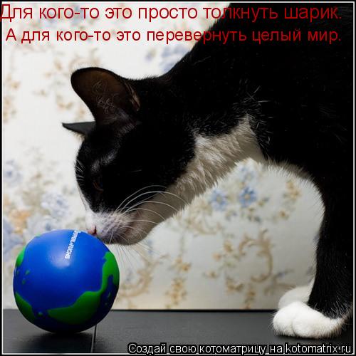 Для кого-то это просто толкнуть шарик. А для кого-то это перевернуть целый мир.... Котоматрица: Для кого-то это просто толкнуть шарик. А для кого-то это перевернуть целый мир.