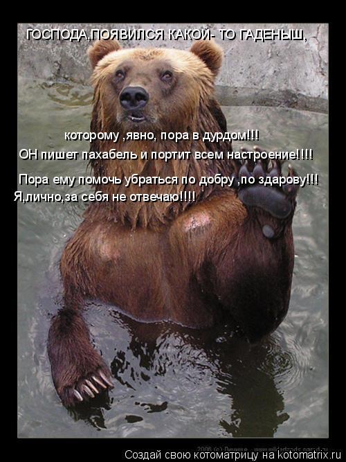 которому ,явно, пора в дурдом!!! ОН пишет пахабель и портит всем настроение!!!! Пора ему помочь убрат... Котоматрица: которому ,явно, пора в дурдом!!! ОН пишет пахабель и портит всем настроение!!!! Пора ему помочь убраться по добру ,по здарову!!! Я,лично,за себя н