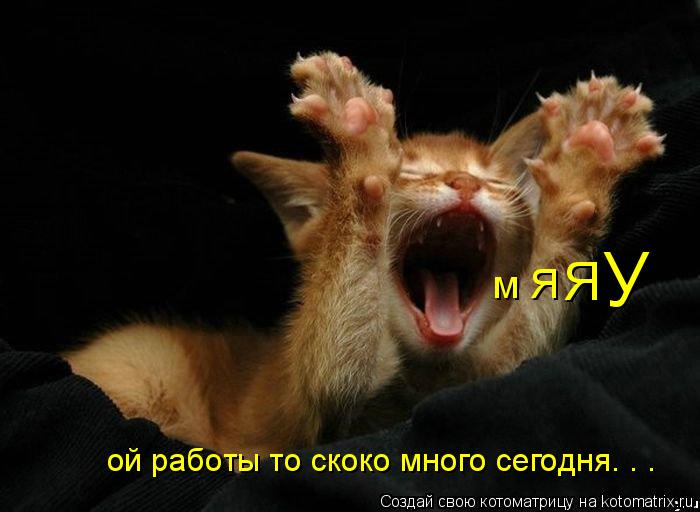 м Я Я У ой работы то скоко много сегодня. . .... Котоматрица: м Я Я У ой работы то скоко много сегодня. . .