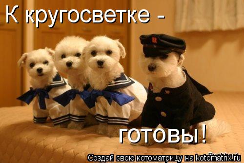 К кругосветке - готовы!... Котоматрица: К кругосветке - готовы!