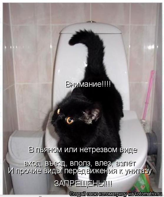 Внимание!!!! В пьяном или нетрезвом виде вход, въезд, вполз, влез, взлёт И прочие виды передвижения к... Котоматрица: Внимание!!!! В пьяном или нетрезвом виде вход, въезд, вполз, влез, взлёт И прочие виды передвижения к унитазу ЗАПРЕЩЕНЫ!!!