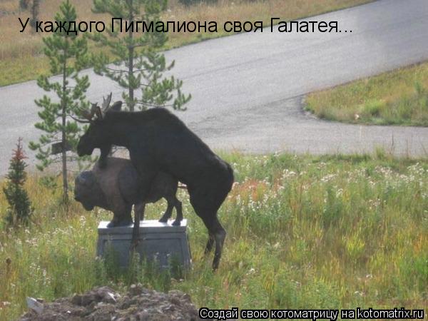 У каждого Пигмалиона своя Галатея...... Котоматрица: У каждого Пигмалиона своя Галатея...