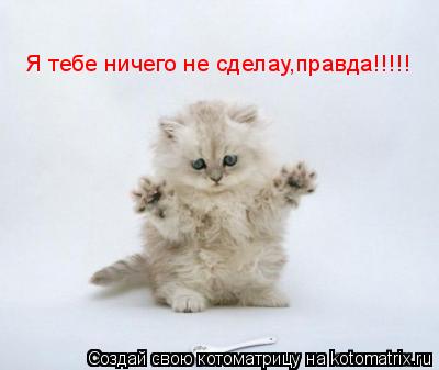 Я тебе ничего не сделау,правда!!!!!... Котоматрица: Я тебе ничего не сделау,правда!!!!!