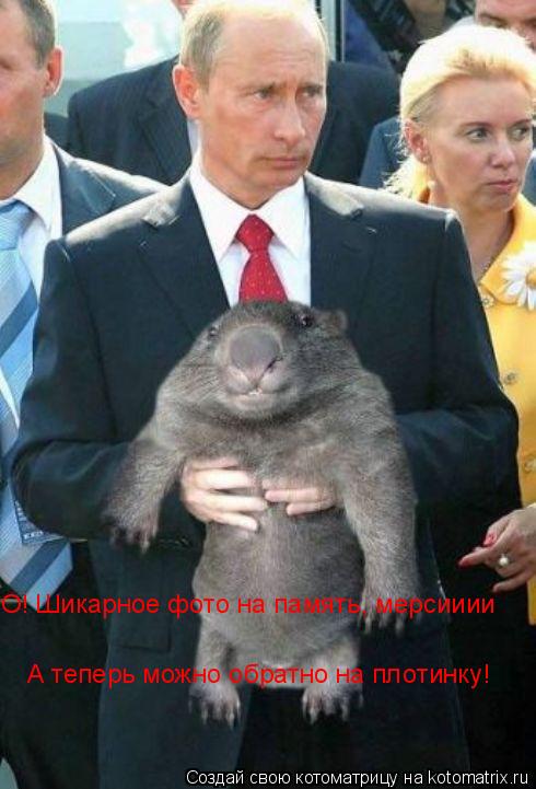 О! Шикарное фото на память, мерсииии А теперь можно обратно на плотинку!... Котоматрица: О! Шикарное фото на память, мерсииии А теперь можно обратно на плотинку!