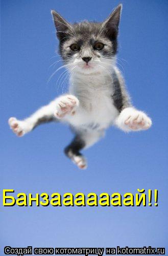 Банзааааааай!! Банзааааааай!!... Котоматрица: Банзааааааай!! Банзааааааай!!