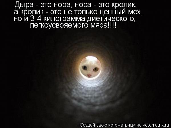 Дыра - это нора, нора - это кролик, а кролик - это не только ценный мех, но и 3-4 килограмма диетичес... Котоматрица: Дыра - это нора, нора - это кролик, а кролик - это не только ценный мех, но и 3-4 килограмма диетического, легкоусвояемого мяса!!!!