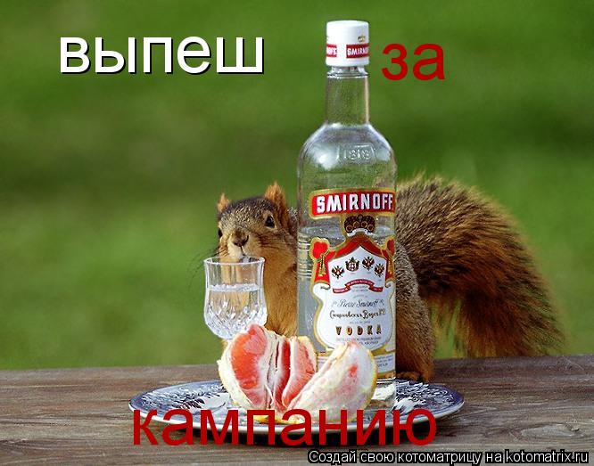 выпеш за кампанию... Котоматрица: выпеш за кампанию