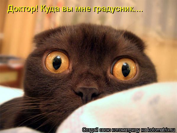 Доктор! Куда вы мне градусник....... Котоматрица: Доктор! Куда вы мне градусник....