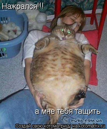 Нажрался !!! а мне тебя тащить... Котоматрица: Нажрался !!! а мне тебя тащить