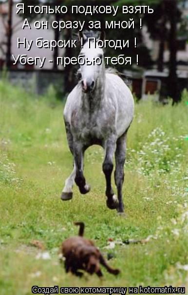 Я только подкову взять А он сразу за мной ! Ну барсик ! Погоди ! Убегу - пребью тебя !... Котоматрица: Я только подкову взять А он сразу за мной ! Ну барсик ! Погоди ! Убегу - пребью тебя !