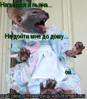 Напилася я пьяна... Не дойти мне до дому... ой...... Котоматрица: Напилася я пьяна... Не дойти мне до дому... ой...