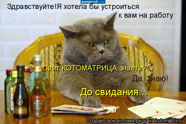 Здравствуйте!Я хотела бы устроиться к вам на работу Сайт КОТОМАТРИЦА знаете? Да, знаю! До свидания..... Котоматрица: Здравствуйте!Я хотела бы устроиться к вам на работу Сайт КОТОМАТРИЦА знаете? Да, знаю! До свидания...