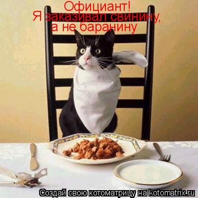 Официант! Я заказивал свинину, а не баранину... Котоматрица: Официант! Я заказивал свинину, а не баранину