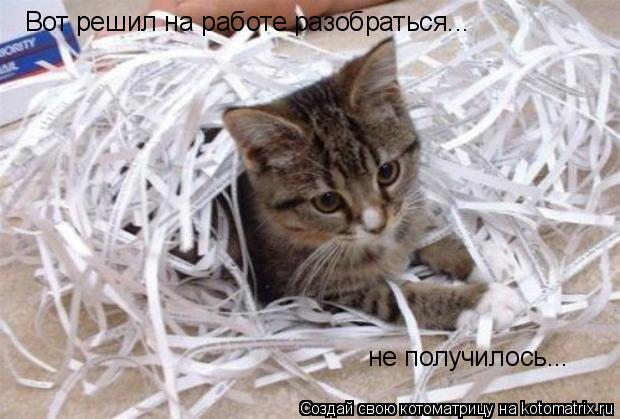 Вот решил на работе разобраться... не получилось...... Котоматрица: Вот решил на работе разобраться... не получилось...