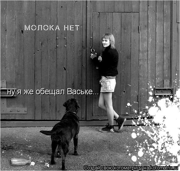 ну я же обещал Ваське...... Котоматрица: ну я же обещал Ваське...