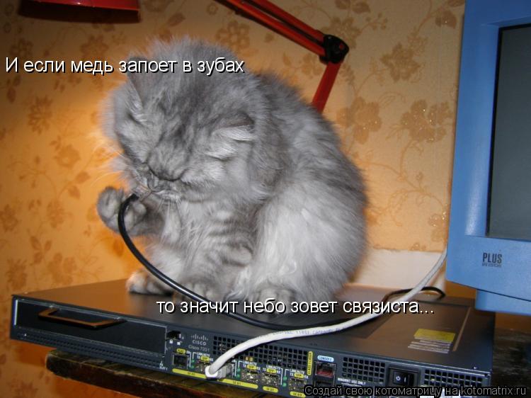 И если медь запоет в зубах то значит небо зовет связиста...... Котоматрица: И если медь запоет в зубах то значит небо зовет связиста...
