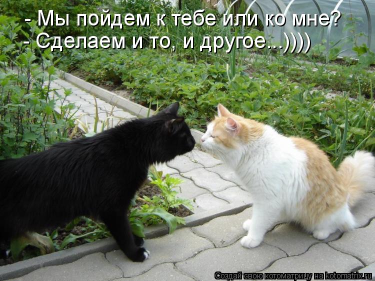 - Мы пойдем к тебе или ко мне? - Сделаем и то, и другое...))))... Котоматрица: - Мы пойдем к тебе или ко мне? - Сделаем и то, и другое...))))