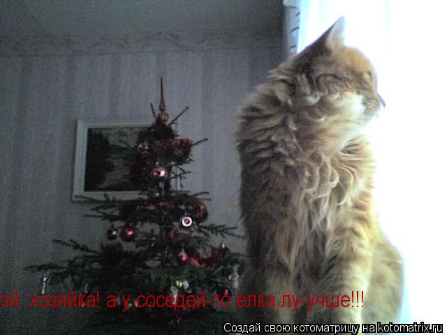 эй, хозяйка! а у соседей-то елка лу-учше!!!... Котоматрица: эй, хозяйка! а у соседей-то елка лу-учше!!!