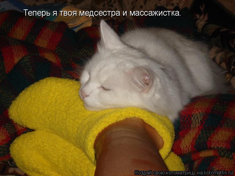 Котоматрица: Теперь я твоя медсестра и массажистка.