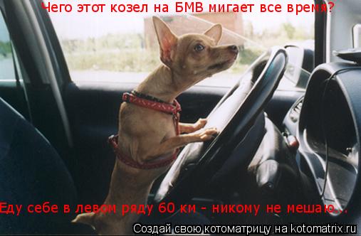 Чего этот козел на БМВ мигает все время? Еду себе в левом ряду 60 км - никому не мешаю...... Котоматрица: Чего этот козел на БМВ мигает все время? Еду себе в левом ряду 60 км - никому не мешаю...